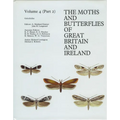 Gelechiidae