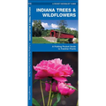 Indiana Trees & Wildflowers: A Folding Pocket Guide to Familiar Plants