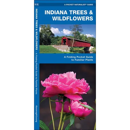 Indiana Trees & Wildflowers: A Folding Pocket Guide to Familiar Plants