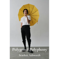 Polygonal Polyphony: A Composer's Guide To 3D Modeling Using Audiovisual Feedback For Enhanced Artistic Expression