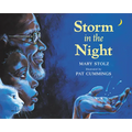 Storm in the Night