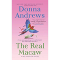 Real Macaw