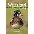 Waterfowl of Eastern North America