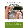 Racing Pigeons Advanced Techniques: Young Birds Racing