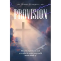 Provision: How God Protects and Provides in Ways You Could Never Think Of