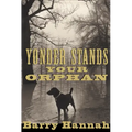 Yonder Stands Your Orphan
