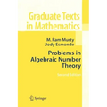 Problems in Algebraic Number Theory
