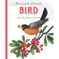 Knowing the Name of a Bird
