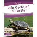 Life Cycle of a Turtle