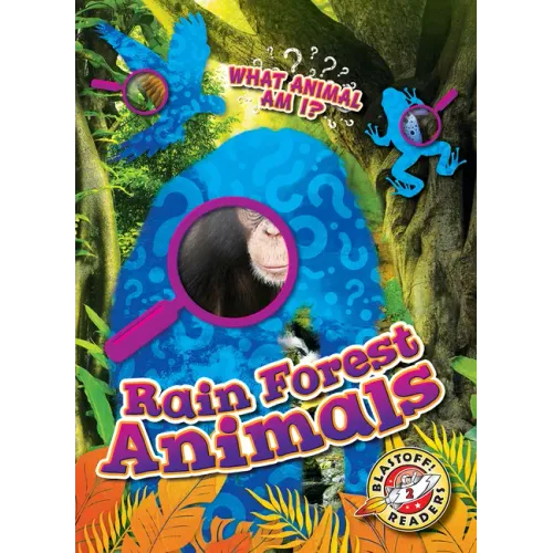 Rain Forest Animals