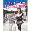 What Is the Weather?