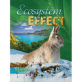 Ecosystem Effect