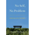 No Self, No Problem: Awakening to Our True Nature