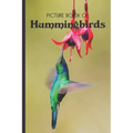 Picture Book Of Hummingbirds: Large Print Book For Seniors with Dementia or Alzheimer's