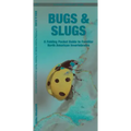 Bugs & Slugs: A Folding Pocket Guide to Familiar North American Invertebrates