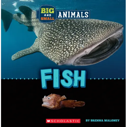 Fish (Wild World: Big and Small Animals)