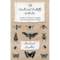 The Beetle and Butterfly Collection - A Guide to Collecting, Arranging and Preserving Insects at Home