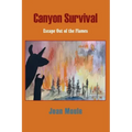 Canyon Survival: Escape Out of the Flames
