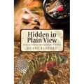 Hidden in Plain View: Recognizing the Obvious-Exploiting the Obscure in Fly Fishing