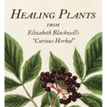 Healing Plants: From Elizabeth Blackwell's a Curious Herbal