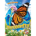 Animal Life Cycles: Butterfly