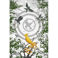 Ballad of Songbirds and Snakes Blank Writing Journal (Hunger Games)