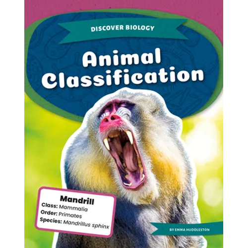 Animal Classification