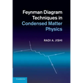Feynman Diagram Techniques in Condensed Matter Physics