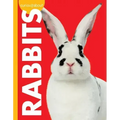 Curious about Rabbits