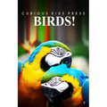 Birds! - Curious Kids Pess: (Picture book, Children's book about animals, Animal books for kids 5-7)