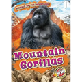 Mountain Gorillas