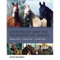 Osteopathy Treatment Horses