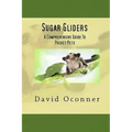 Sugar Gliders