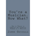 You're a Musician. Now What?: How to thrive in creative and financial freedom as a musician