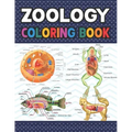 Zoology Coloring Book: Collection of Simple Illustrations of Zoology. The New Surprising Magnificent Learning Structure For Veterinary Anatom