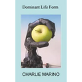 Dominant Life Form: Off the grid hackers labor to create intelligent robots on Earth