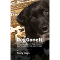 Dog Gone It: From Trauma to Tail-Wags, Seeing God in the Day-to-Day