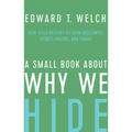 A Small Book about Why We Hide: How Jesus Rescues Us from Insecurity, Regret, Failure, and Shame