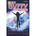 Why Buffy Matters: The Art of Buffy the Vampire Slayer