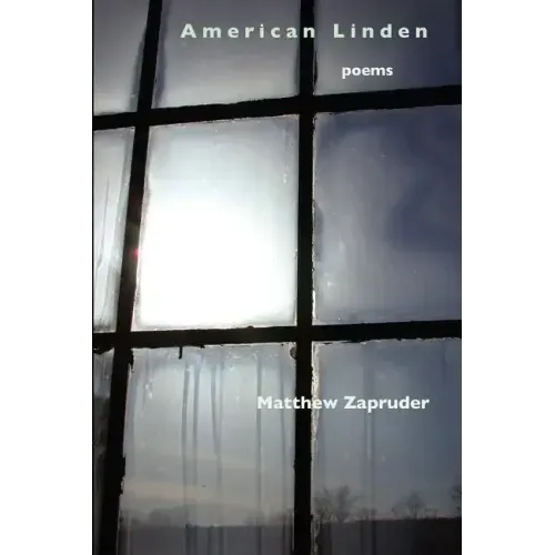 American Linden