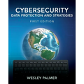 Cybersecurity - Data Protection and Strategies: First Edition