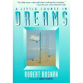 A Little Course in Dreams
