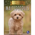 Maltidoodles