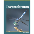Invertebrates