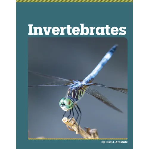 Invertebrates