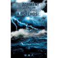 From Torment to Christian Comfort Journeying Through a Psychosis
