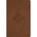 Truth for Life - Gift Edition (Volume 1): 365 Daily Devotions