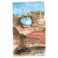 Echoes of a Backward Glance