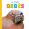 Morsas Bebés