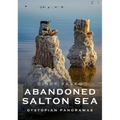 Abandoned Salton Sea: Dystopian Panoramas